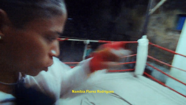 Video Reference: Sport venue, Professional boxing