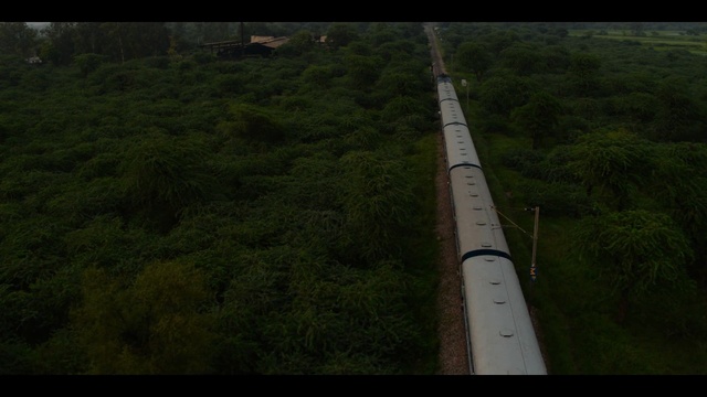 Video Reference: Nature, Aerial photography, Land lot, Photography, Tree, Landscape, Plant, Forest, Person