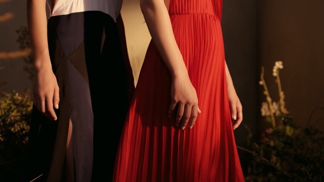 Video Reference: Red, Dress, Clothing, Gown, Fashion, Shoulder, Formal wear, Joint, Human body, Event