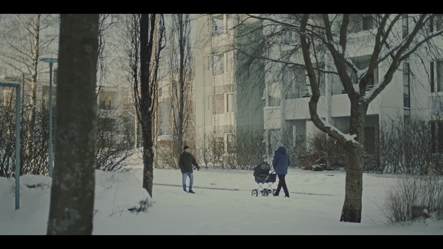 Video Reference: Snow, Winter, Tree, Freezing, Branch, Woodland, Plant, Forest, Photography, Black-and-white