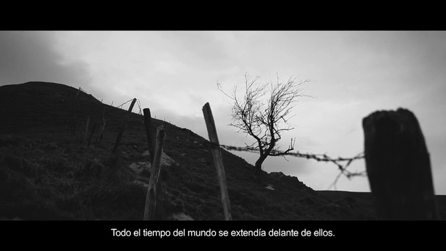 Video Reference: Black, Monochrome photography, Black-and-white, Photograph, Monochrome, Sky, Branch, Tree, Photography, Stock photography