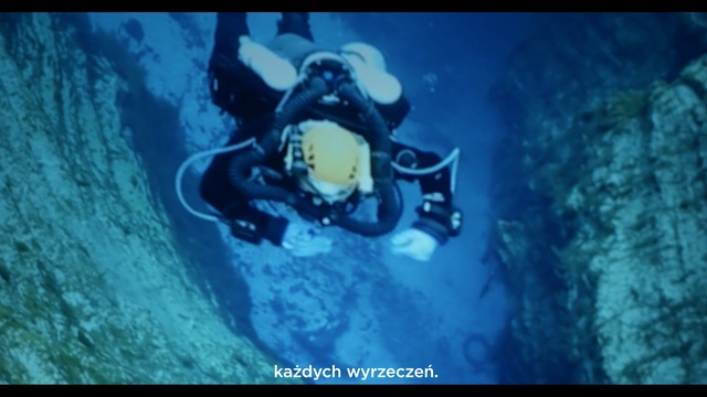 Video Reference: Scuba diving, Underwater diving, Divemaster, Aquanaut, Underwater, Organism, Marine biology, Diving equipment, Recreation, Freediving