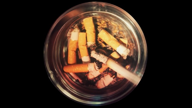 Video Reference: computer wallpaper, macro photography, darkness