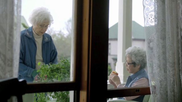 Video Reference: Photograph, Window, Tree, Adaptation, Grandparent, Conversation, House, Plant, Home, Interior design