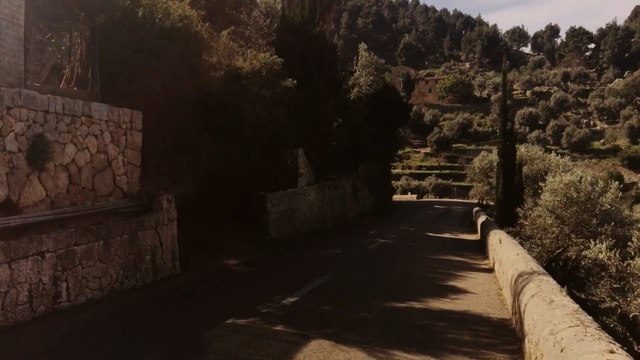Video Reference: historic site, wall, tourist attraction, ruins, archaeological site, screenshot, sky, landscape, village, tree
