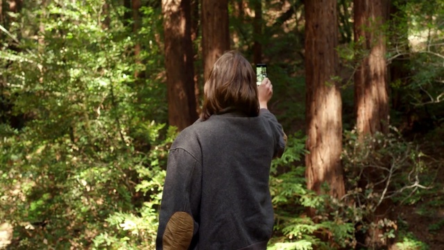 Video Reference: People in nature, Forest, Nature, Jungle, Woodland, Natural environment, Tree, Old-growth forest, Vegetation, Nature reserve