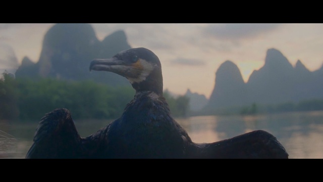 Video Reference: sky, beak, screenshot, atmosphere, mountain, computer wallpaper, landscape, darkness, Person