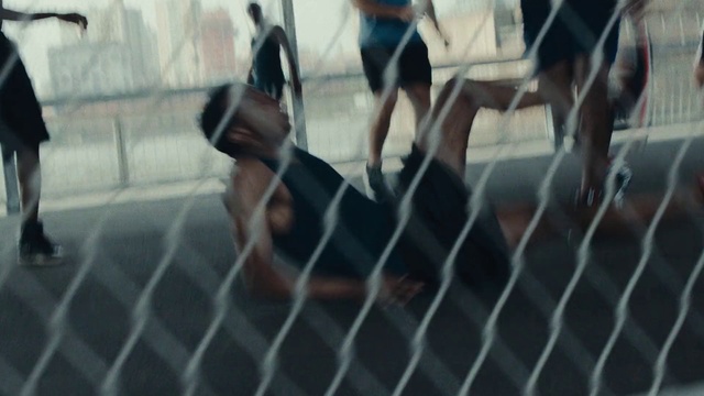 Video Reference: Animal shelter, Guard dog, Net, Canidae, Dobermann, Metal