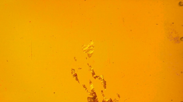 Video Reference: yellow, orange, sky, macro photography, orange, computer wallpaper