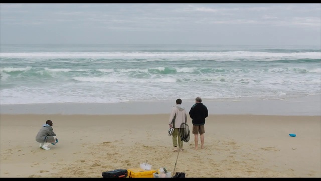Video Reference: Water, People on beach, Beach, Sky, Shorts, Coastal and oceanic landforms, Leisure, Horizon, Travel, Fun