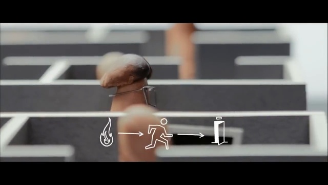Video Reference: Shoulder, Photography, Eyewear