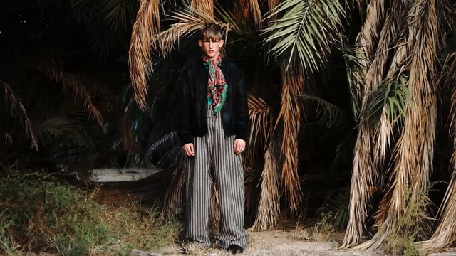 Video Reference: tree, plant, grass, arecales, Person