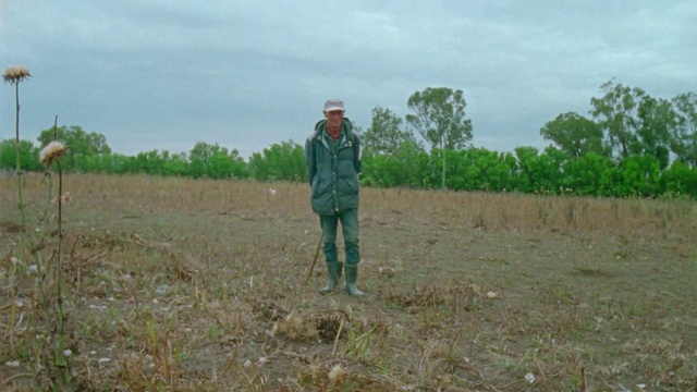 Video Reference: Field, Grassland, Soil, Grass, Land lot, Crop, Grass family, Pasture, Prairie, Farm