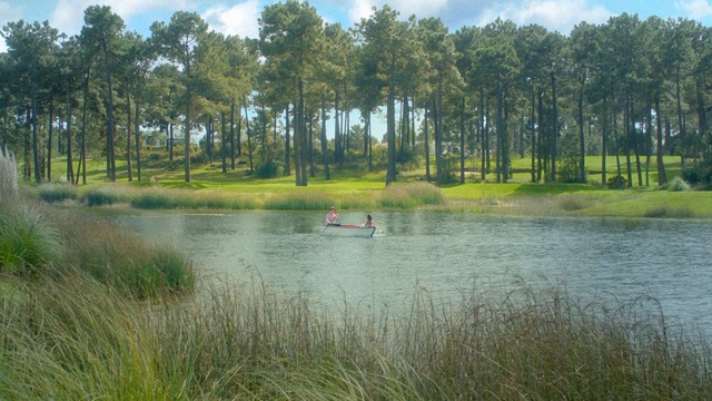Video Reference: Natural landscape, Nature, Natural environment, Bank, Nature reserve, Tree, Wetland, Marsh, Floodplain, Lake