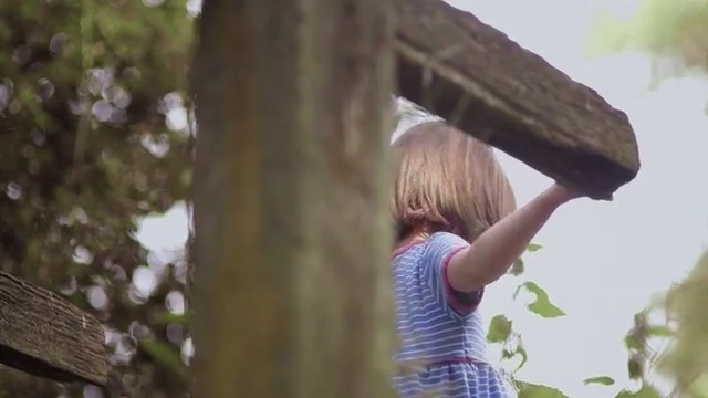 Video Reference: tree, girl, branch, grass, happiness, fun, sky, plant, Person