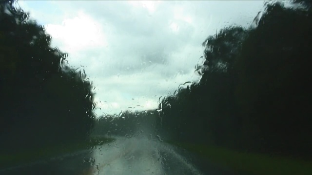 Video Reference: sky, nature, waterway, cloud, mist, ecosystem, water, road, tree, morning