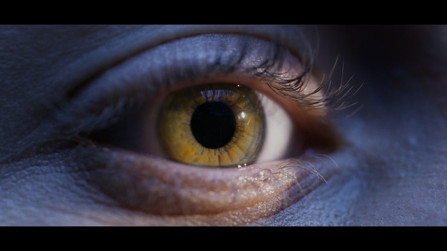 Video Reference: eye, blue, face, macro photography, nose, close up, eyebrow, eyelash, iris, photography