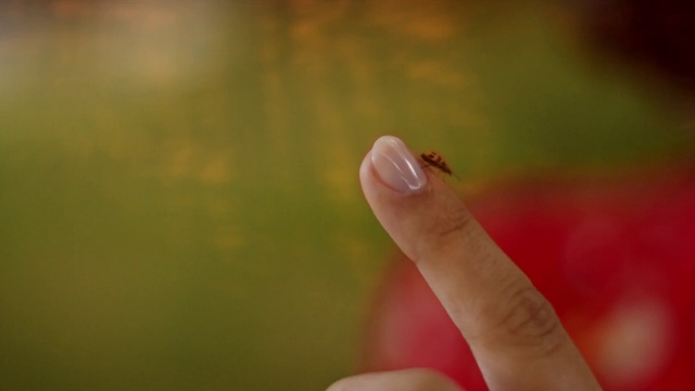 Video Reference: Finger, Green, Nail, Hand, Leaf, Skin, Close-up, Thumb, Macro photography, Grass
