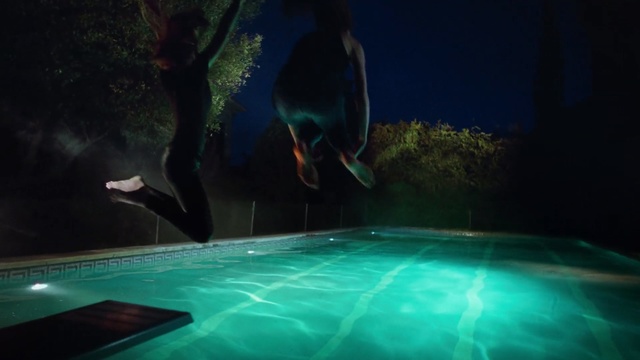 Video Reference: Water, Underwater, Swimming pool, Leisure, Organism, Fun, Night, World, Vacation, Marine biology