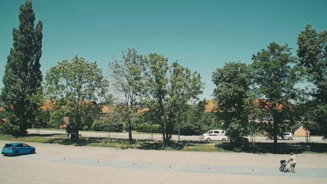 Video Reference: Tree, Daytime, Sky, Urban area, Woody plant, Residential area, Neighbourhood, Plant, Park, City, Outdoor, Road, Street, Car, Man, Dog, Small, Lot, Sitting, Fire, Red, Riding, Motorcycle, Hydrant, Parked, White, Game, Large, Standing, Young, Parking, Traffic, Sign, People, House