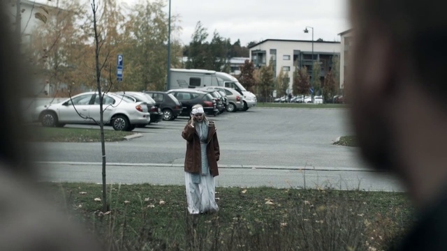 Video Reference: Vehicle, Car, Mode of transport, Snapshot, Street, Sidewalk, Road, Pedestrian, Tree, Vehicle door