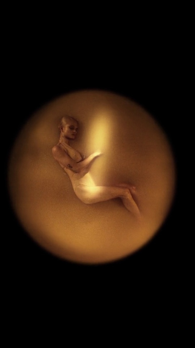 Video Reference: Light, Lighting, Photography, Hand, Darkness, Muscle, Flesh, Still life photography, Art model, Art