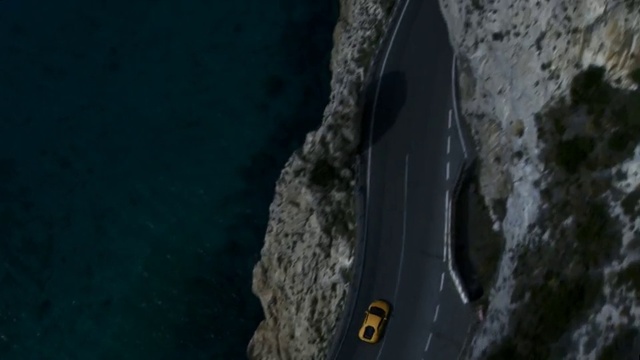 Video Reference: Organism, Tree, Rock