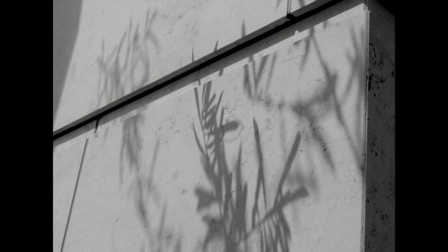 Video Reference: white, black, black and white, photograph, monochrome photography, wall, photography, monochrome, structure, line