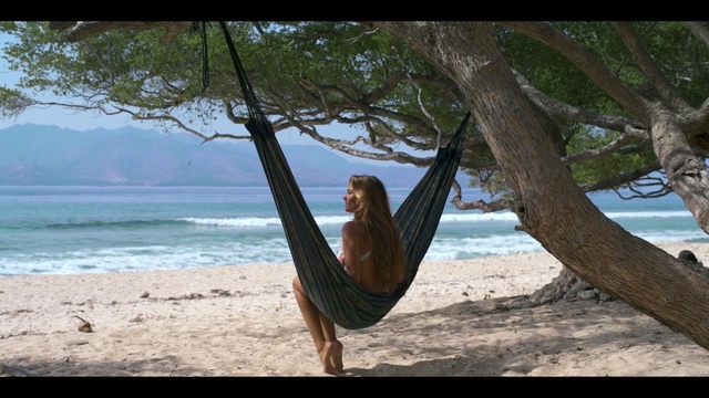 Video Reference: Hammock, Tree, Vacation, Leisure, Plant, Beach, Coast, Tropics