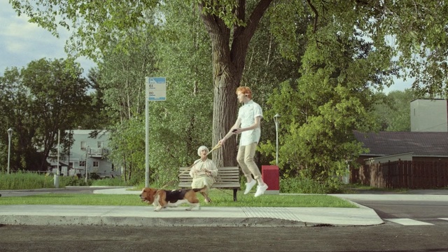 Video Reference: Green, Grass, Tree, Residential area, Public space, Lawn, Companion dog, Woody plant, Neighbourhood, Canidae