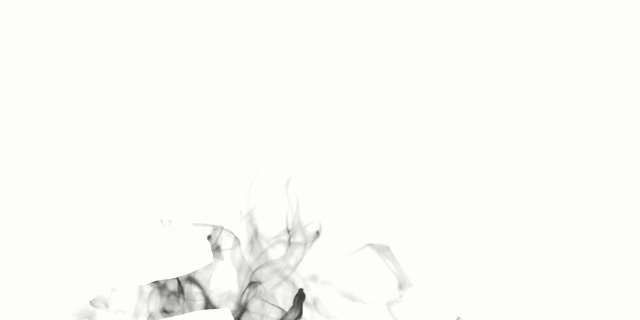 Video Reference: white, black, black and white, monochrome photography, hand, text, joint, photography, monochrome, font