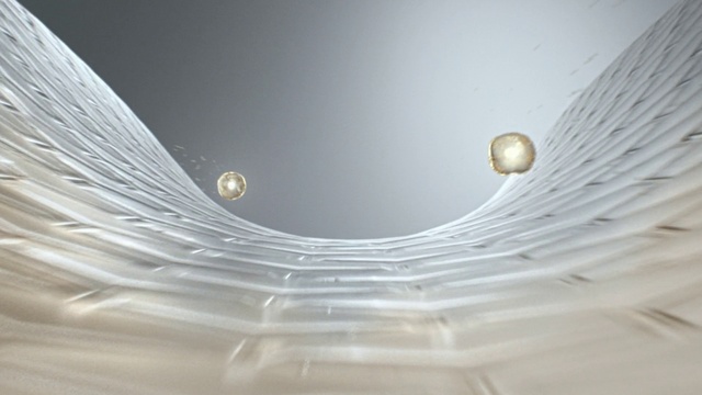 Video Reference: Water, White, Drop, Ceiling, Transparent material, Macro photography, Circle, Glass, Metal