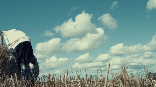 Video Reference: People in nature, Sky, Field, Cloud, Grass family, Grass, Crop, Farmworker, Photography, Plant