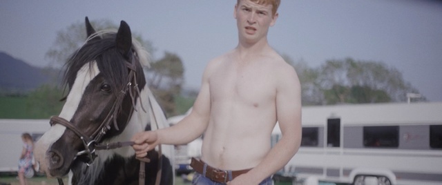 Video Reference: Barechested, Male, Horse, Muscle, Chest, Photography, Stallion, Person