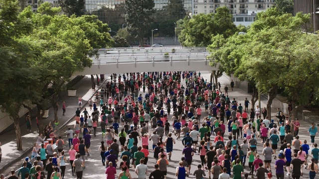 Video Reference: crowd, city, recreation, tree, sports, long distance running, athletics, plant, pedestrian, running