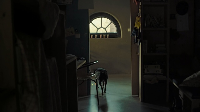 Video Reference: darkness, light, lighting, window, light fixture, midnight, screenshot, night, door