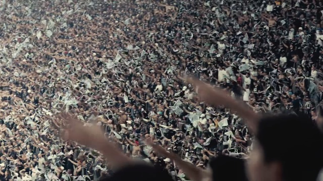 Video Reference: Crowd, People, Soil, Leaf, Audience, Photography, Rock