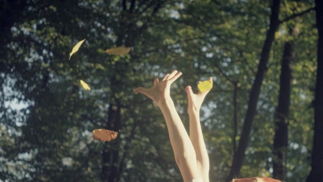 Video Reference: Tree, Branch, Leaf, Hand, Organism, Sunlight, Plant, Trunk, Plant stem, Finger
