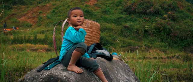 Video Reference: People in nature, Nature, Sitting, Grass, Child, Leisure, Fun, Tree, Photography, Adaptation