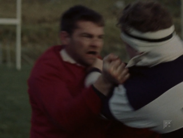 Video Reference: Fun, Gesture, Person