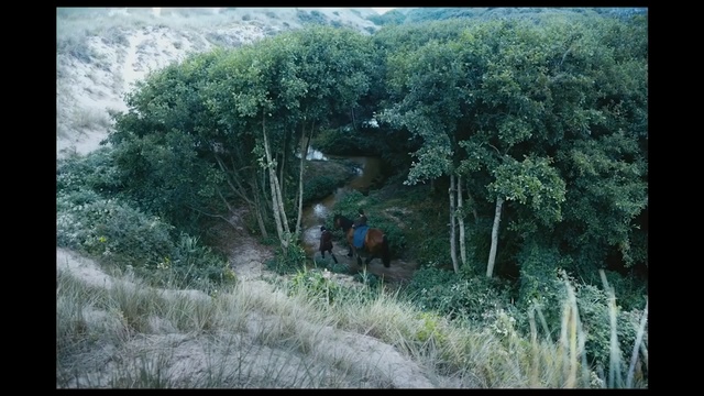 Video Reference: sprinkler, mechanical device, tree, landscape, mechanism, rural, grass, plant