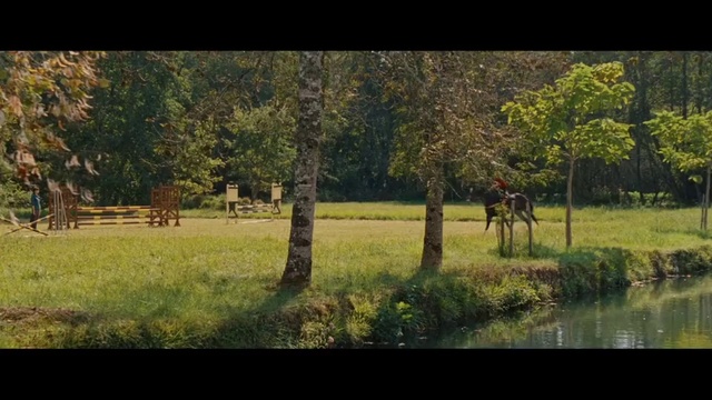 Video Reference: Natural landscape, Nature, Tree, Natural environment, Pasture, Grass, Wilderness, Wildlife, Nature reserve, Woodland