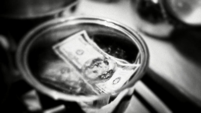 Video Reference: black and white, close up, monochrome photography, photography, monochrome, macro photography