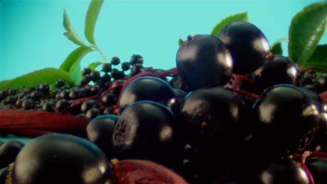 Video Reference: Black, People, Green, Fruit, Crowd, Plant, Fun, Tree, Berry