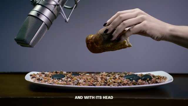 Video Reference: food, hand, close up, microphone, title