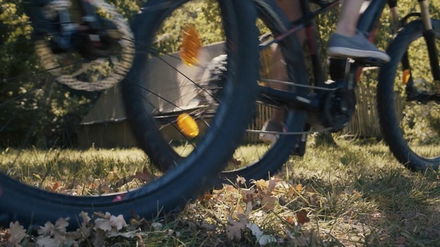 Video Reference: bicycle, wheel, bicycle wheel, tire, motor vehicle, automotive tire, tree, bicycle accessory, mountain bike, spoke, Person