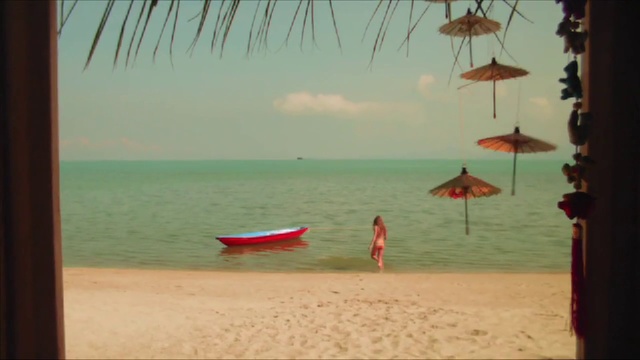 Video Reference: Beach, Vacation, Shore, Umbrella, Summer, Sea, Ocean, Palm tree, Fun, Coast
