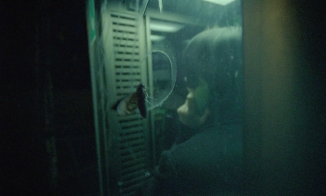 Video Reference: Green, Organism, Underwater, Person