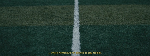 Video Reference: green, grass, atmosphere, line, field, biome, plant, sky, grass family, landscape