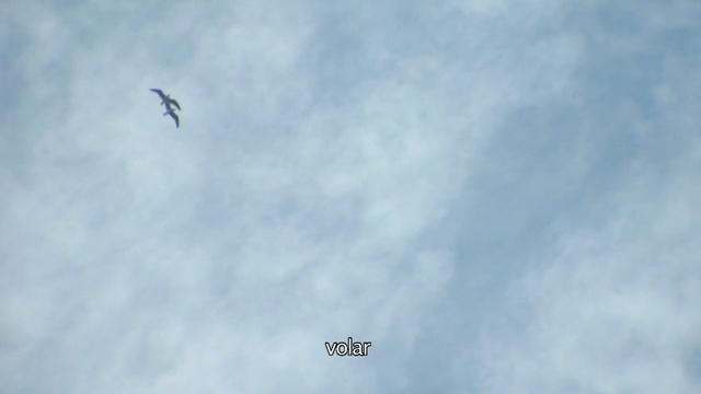 Video Reference: Sky, Daytime, Cloud, Air show, Wing, Vehicle, Airplane, Flight
